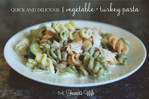 {recipe | super easy vegetable + turkey pasta}